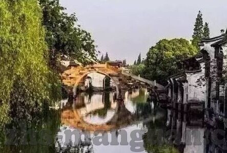 世界杯澳洲是哪个国家-世界杯澳洲球队，袋鼠军团的风采与足球之路